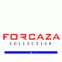 Zhejiang Forcaza Import & Export Co., Ltd.