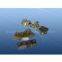 Drilling Dish