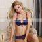 New arrival fancy hot sexy transparent sexy panty bra photos