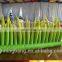 green inflatable grass for yard decoration