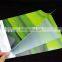 Cheap printing A4 custom plastic file folder for stationary office