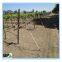 Galvanized Steel u Shape Vineyard Post