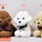 China Teddy Dog Plush Toys Manufacture with cheap price