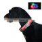 Christmas new style dog accessories wholesale led collar dog collar for cute cat