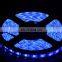 Led strip light 5050 60d rgb 12v IP20  IP65 Waterproof addressable strip Lights 5M 300leds