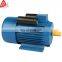 single phase electric motor
