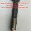 CNDIP Common Rail Fuel Injector 0 445 110 313 0445110313 Auto Engine Fuel System Injector