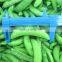 Sinocharm New Season Fresh Crisp Organic Frozen Sugar Snap Peas IQF Sugar Snap Peas