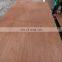 One time press pencil cedar plywood 4.5mm