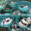 Crude moon fish with sizes 30- 40 pcs / ctn