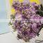  china stylish cut fresh violet flowers