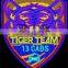 Directly factory tiger badge cheap 100% custom embroidery patches for garments