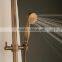 royal gold plated faucet with shower head