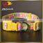New Custom Fashion Pet Collar in Nylon Material