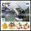 full automatic extruded snack pellets 3D Food plant