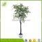 high simullation plastic maple bonsai tree in promotion