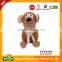 Cute Animal Shape Pet Toy With Squeakers