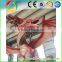 Realistic Huge Dinosaurs for Playground Epuipment Artifical Dinosaurs