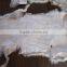 High Quality Natural And Dyed Genuine Coytoe Fur Skin