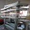 flexible lifting vonveyor system for bottles