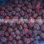 IQF Blackberry with good quality for sale