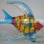 Beautiful Glass Fish