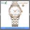 FS FLOWER - High Polishing Classic Series Stainless Steel Two Tone Gold Watch Mens