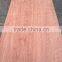3x7,3x6,4x7,4x6 natural BNG veneer thickness 0.30mm