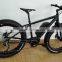 New electric bike with fat tyres for snowy road or beach supplied to Carrefour ( HJ-M20 )