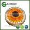 5M Waterproof Yellow 5050 300leds DC12V Flexible LED Strip Light Lamp