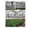 Polycarbonate anti-fog sheet for greenhouse,commerical greenhouse,Polycarbonate greenhouse