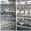 2015 hot-sell H type automatic cages for chickens