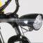 High Cost Performance E-Bike Motor 36V 250W