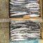 Chinese Saury Factory Supplier