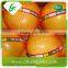 Cheap fresh honey pomelo