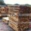 Rubber Wood From Viet Nam High Quality