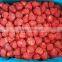 Price for Frozen Strawberry/IQF Sliced Strawberries