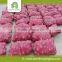 Red onion export mesh bags