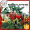 Kosher approval good price goji fruit extraction dried fruit goji Berry