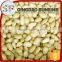 Organic pine nuts wholesale prices