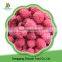 Chinese fruit frozen raspberry for sale with low price