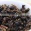 roasted tieguanyin tea,wholesale oolong-tea,natural weight loss oolong tea