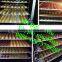 commercial bread baking oven/biscuit baking machine/croissant bread baking machine