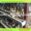 automatic chicken house layer cages