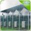 PC greenhouse with galvanized structure single span with automatic ventilation