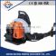 High quality of knapsack 4-stroke petrol engine leaf blower snow blower