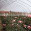 New Type Of Tunnel Greenhouse For Vegetables