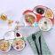 9inch Car shape ceramic plate children ceramic plate kids funny ceramic plate