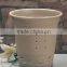 middle size flower pot