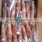 Frozen China origin Todarodes Pacificus squid Japanese flying W/R